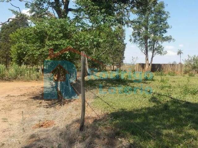 Sítio para Venda em Rio Claro - 5