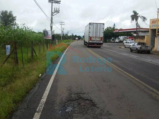 Terreno para Venda em Rio Claro - 5