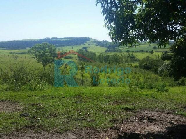 Sítio para Venda em Rio Claro - 4