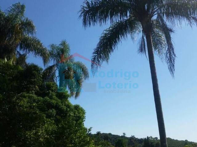 Sítio para Venda em Rio Claro - 5