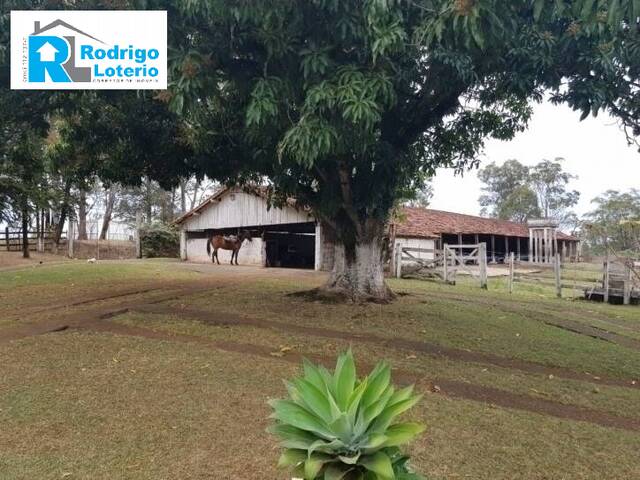 #594 - Sítio para Venda em Rio Claro - SP - 3