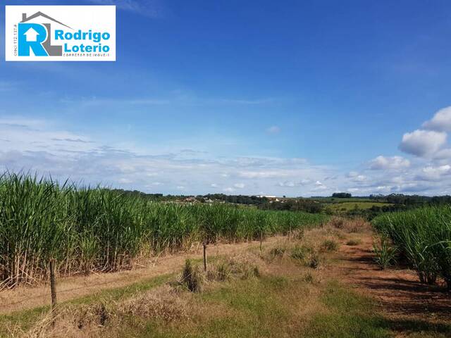 #694 - Sítio para Venda em Rio Claro - SP - 3