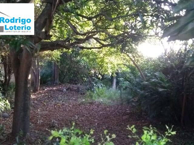 #703 - Terreno para Venda em Rio Claro - SP - 2
