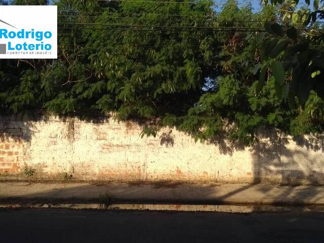 #703 - Terreno para Venda em Rio Claro - SP - 1