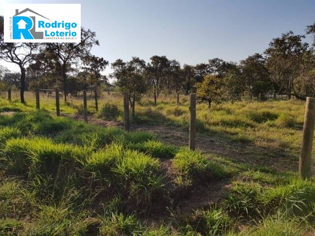 #740 - Terreno para Venda em Itirapina - SP - 2