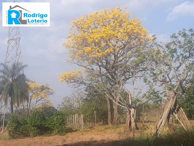 Sítio para Venda em Rio Claro - 4