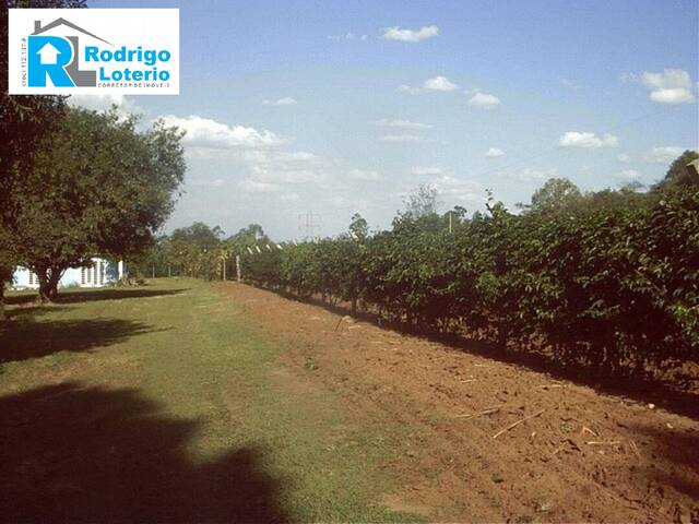 Sítio para Venda em Rio Claro - 5