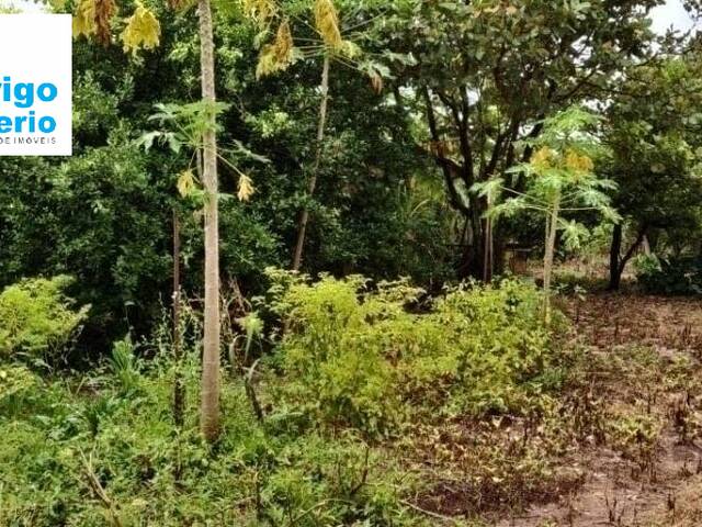 #827 - Terreno para Venda em Rio Claro - SP - 2