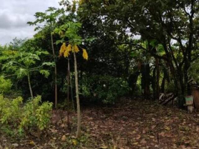 #827 - Terreno para Venda em Rio Claro - SP - 3