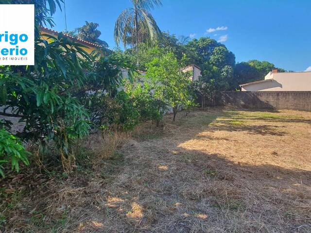 #683 - Terreno para Venda em Rio Claro - SP - 3
