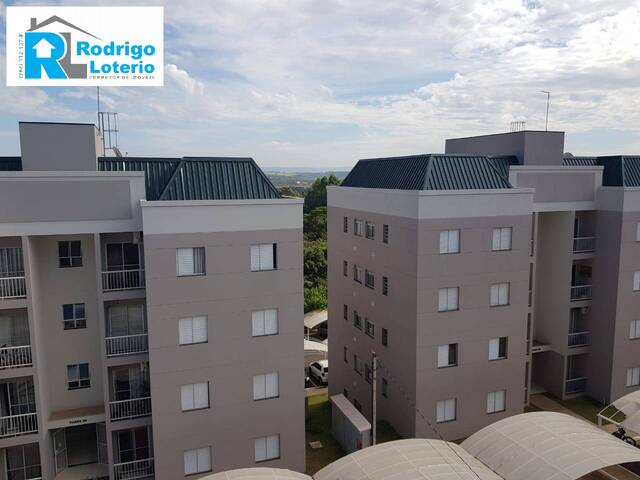#885 - Apartamento para Locação em Rio Claro - SP - 2