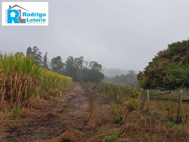 #893 - Sítio para Venda em Rio Claro - SP - 2