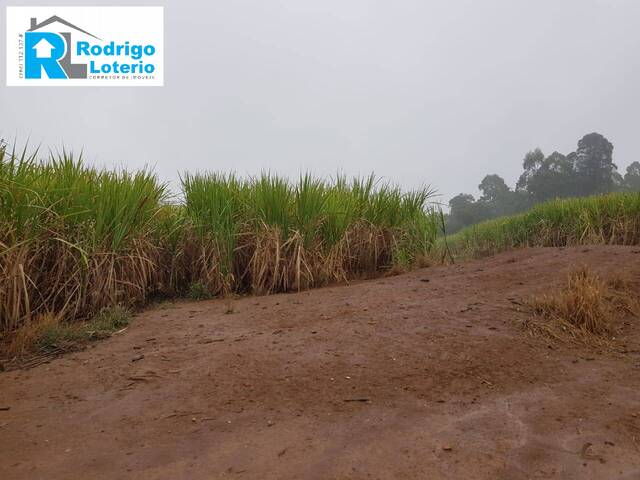 #893 - Sítio para Venda em Rio Claro - SP - 1