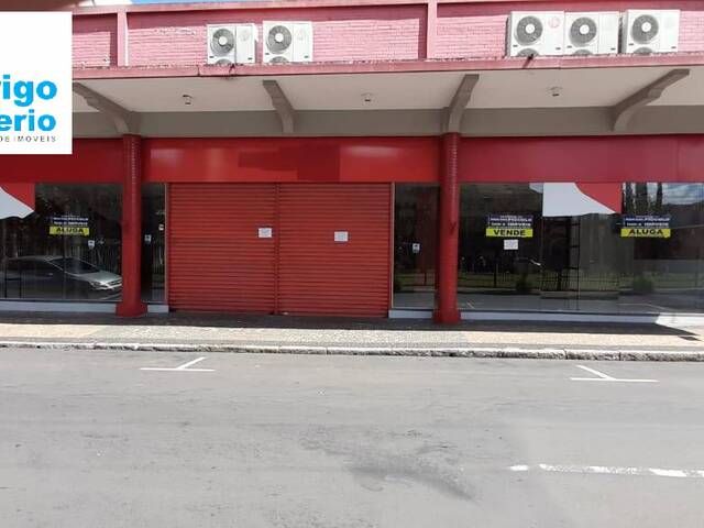 #973 - Prédio comercial para Venda em Rio Claro - SP - 3