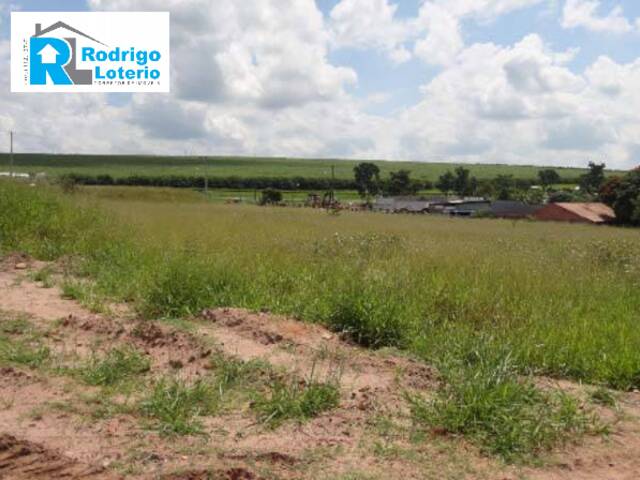 #984 - Terreno para Venda em Itirapina - SP - 3