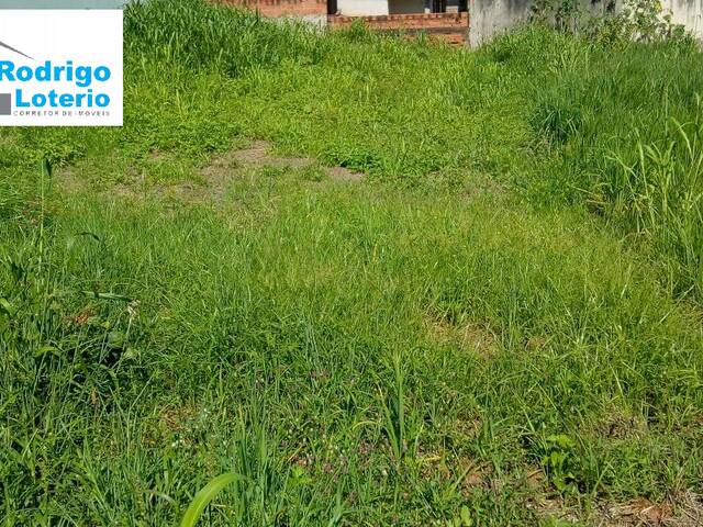 Terreno para Venda em Corumbataí - 4