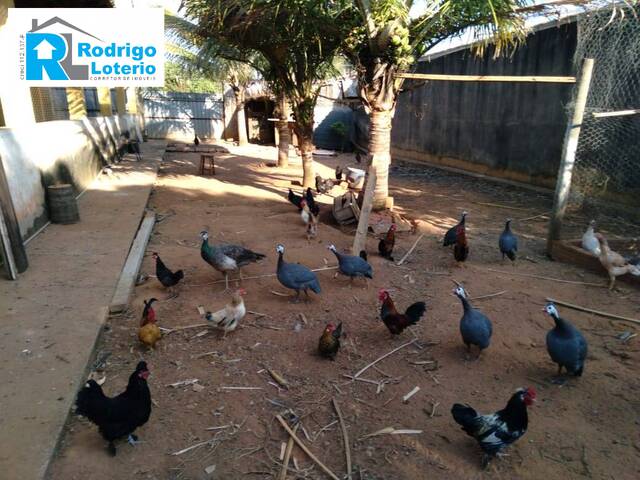 Chácara para Venda em Rio Claro - 4