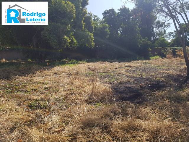 #1062 - Terreno para Venda em Rio Claro - SP - 3