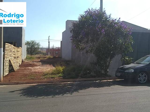 #1077 - Terreno para Venda em Santa Gertrudes - SP - 2