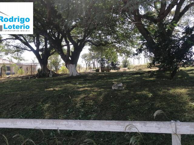 Sítio para Venda em Pirassununga - 4