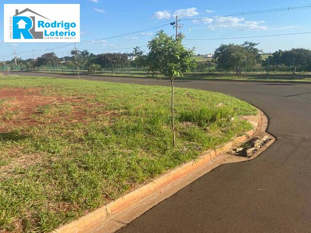 #1173 - Terreno para Venda em Limeira - SP - 3