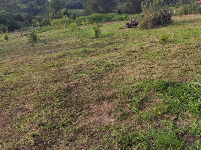 #1200 - Chácara para Venda em Rio Claro - SP - 1