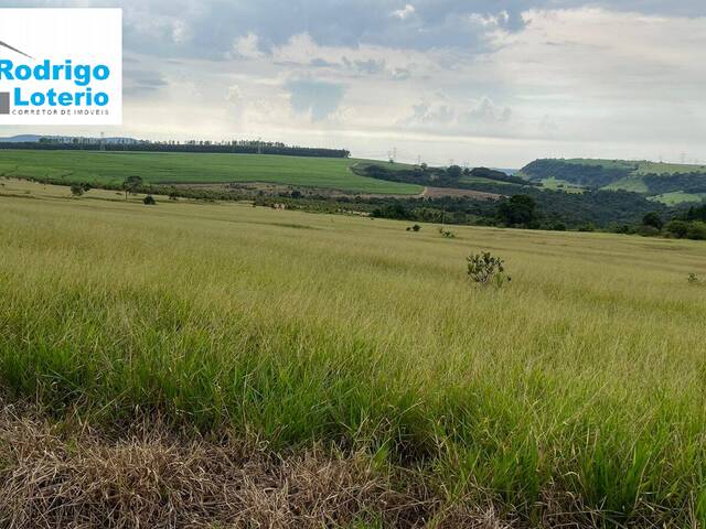 Sítio para Venda em Corumbataí - 4