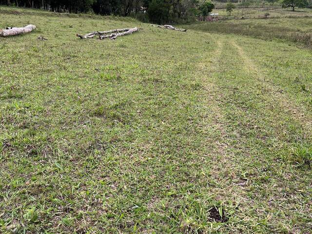 Sítio para Venda em Rio Claro - 4