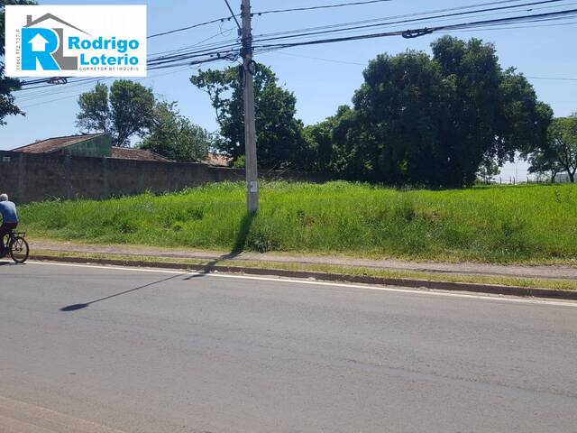 Terreno para Venda em Rio Claro - 4