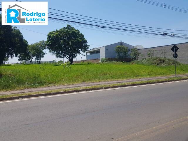 Terreno para Venda em Rio Claro - 5