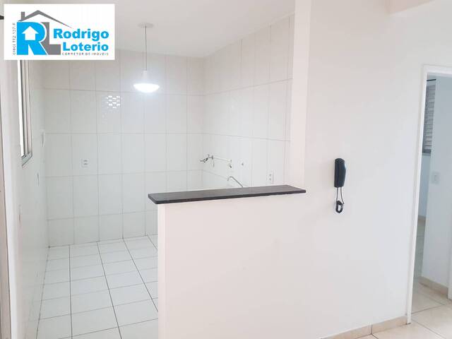#1342 - Apartamento para Locação em Rio Claro - SP - 1