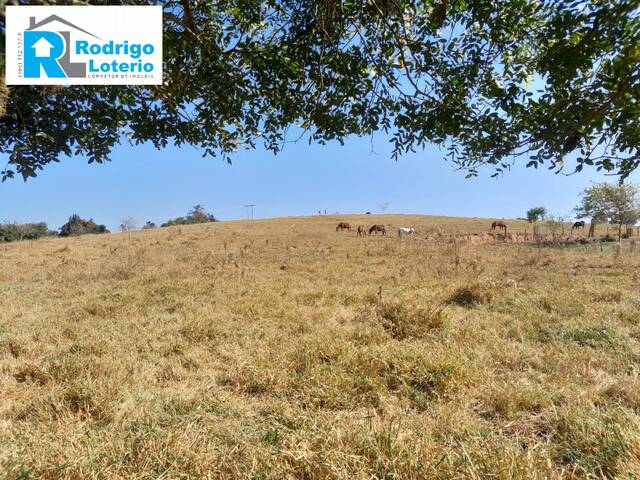 #1354 - Sítio para Venda em Santa Maria da Serra - SP - 2