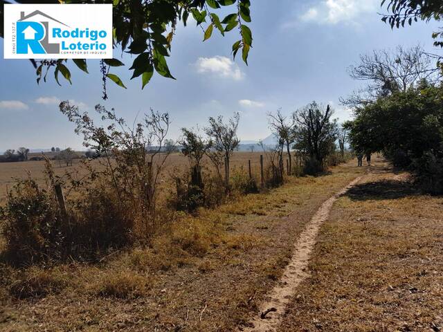 #1354 - Sítio para Venda em Santa Maria da Serra - SP - 3