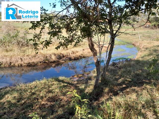 #1354 - Sítio para Venda em Santa Maria da Serra - SP - 1