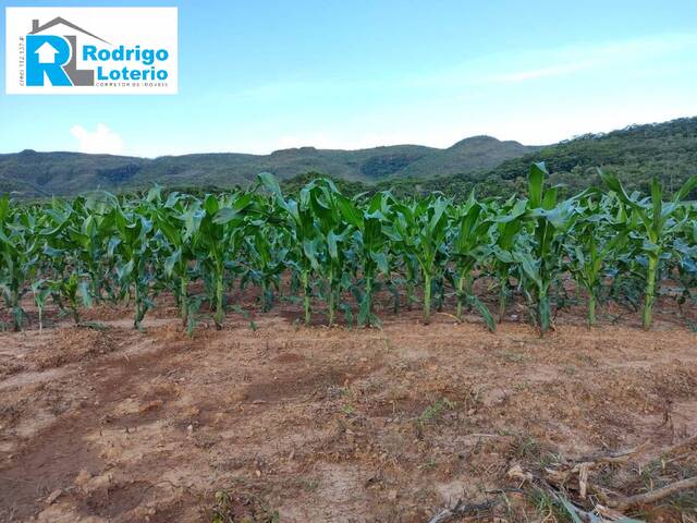 #1374 - Fazenda para Venda em Goiás - GO - 2