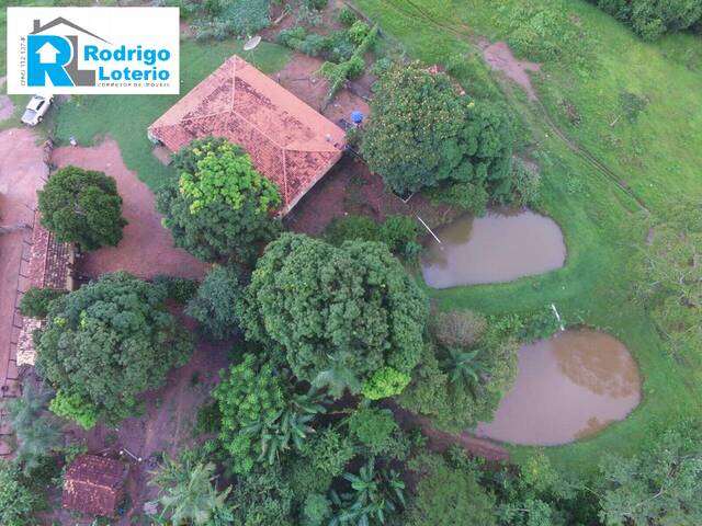 Fazenda para Venda em Goiás - 4