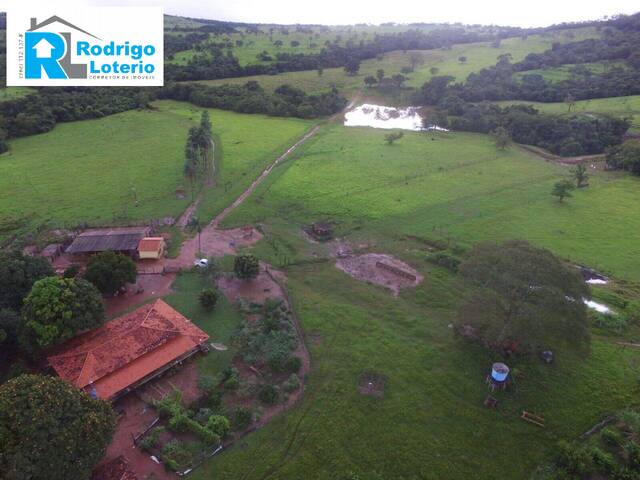 #1374 - Fazenda para Venda em Goiás - GO - 1