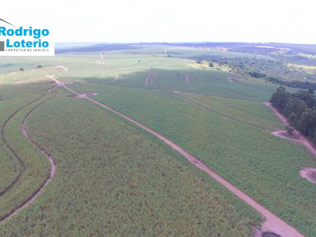 #1376 - Fazenda para Venda em Corumbataí - SP - 1