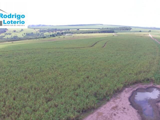 #1376 - Fazenda para Venda em Corumbataí - SP - 3