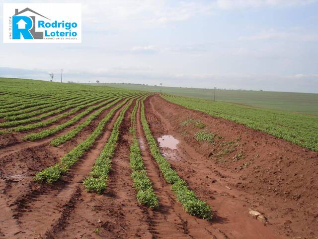 #1391 - Fazenda para Venda em Marília - SP - 1