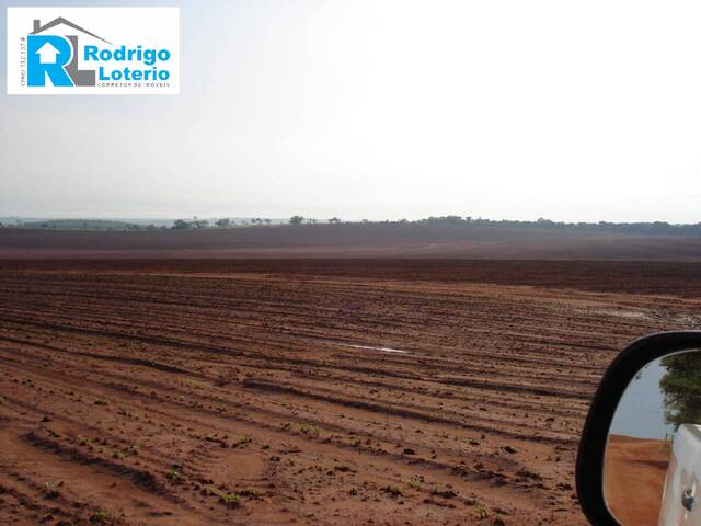 #1391 - Fazenda para Venda em Marília - SP - 3