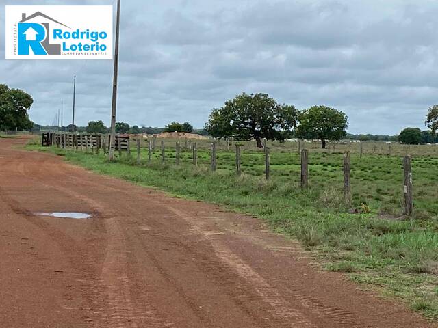 #1405 - Fazenda para Venda em Araguaína - TO - 2