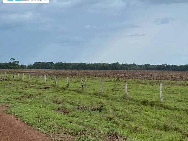 Fazenda para Venda em Araguaína - 5