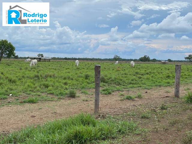 #1405 - Fazenda para Venda em Araguaína - TO - 3