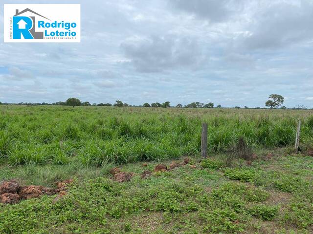 Fazenda para Venda em Araguaína - 4