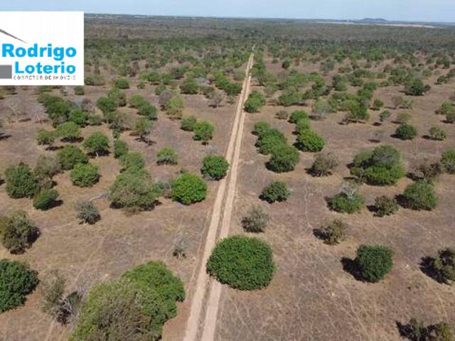 #1406 - Fazenda para Venda em Aliança do Tocantins - TO - 1