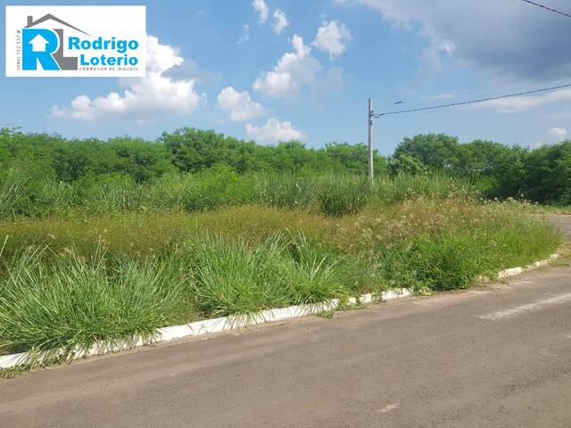 Terreno para Venda em Rio Claro - 5
