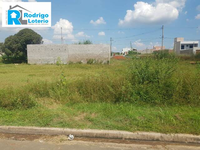 #1450 - Terreno para Venda em Rio Claro - SP - 3