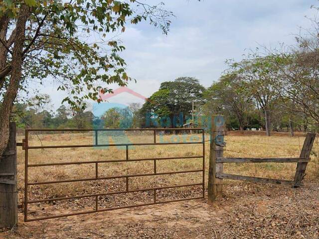 #1508 - Sítio para Venda em Rio Claro - SP - 1