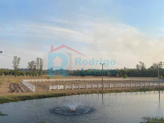 Fazenda para Venda em Rio Claro - 5